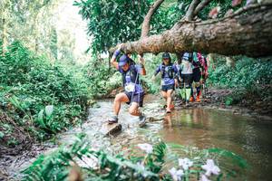 BIB: 
                            <button type="button" onclick="openModal(25517318)" class="btn btn-primary btn-sm float-right btn-popup" data-toggle="modal" data-target=".modal-high-quality">
                        <i class="fas fa-shopping-cart"></i> Add to Cart
                    </button>
                                            <button type="button" onclick="isThisMe(25517318, true)" class="btn btn-success btn-sm float-right btn-popup btn-isme hidden" data-toggle="tooltip" data-placement="bottom" title="นี่คือรูปของคุณใช่ไหม คลิกที่นี่เพื่อเอาเข้าอัลบั้ม">
                        <i class="fas fa-plus"></i> Add to album
                    </button>
                    <button type="button" onclick="isThisMe(25517318, false)" class="btn btn-warning btn-sm float-right btn-popup btn-isnotme hidden">
                        <i class="fas fa-ban"></i> Remove from album
                    </button>